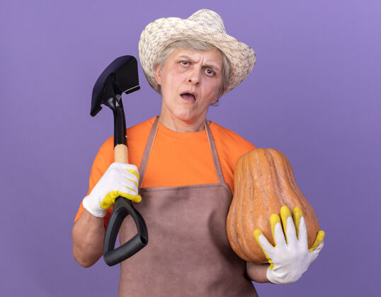 花园恼怒的上了年纪的女园丁戴着园艺帽和手套 肩上扛着南瓜和铲子戴紫色女