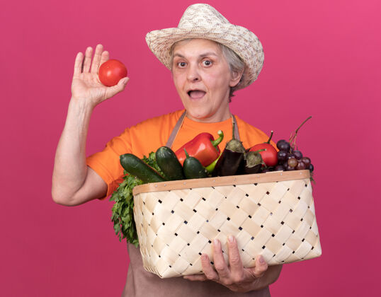 粉红惊讶的上了年纪的女园丁戴着园艺帽 手里拿着菜篮子和西红柿穿花园老人