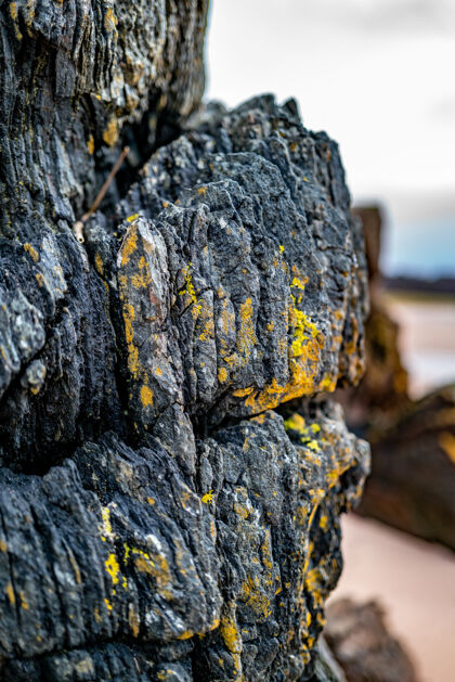纹理黑色岩石质地 近距离观看英国海滩特写