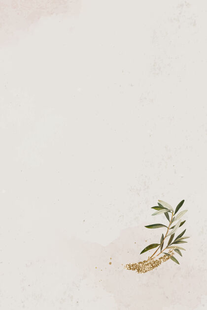橄榄枝米色纹理背景上的橄榄枝春天表面空白