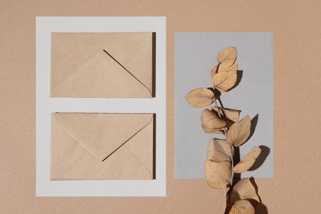 信封天然材料卡片模型分类组成自然有机