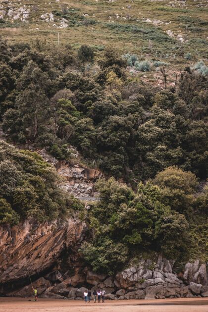山树和植物覆盖的高山的垂直镜头游客悬崖五彩缤纷