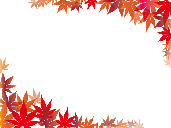 自然红枫叶框架和背景秋天叶森林