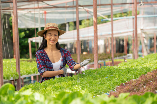 保持快乐地在蔬菜水培农场工作的亚洲女农民在温室农场微笑着检查蔬菜沙拉质量的女农民的画像耕作花园雌性