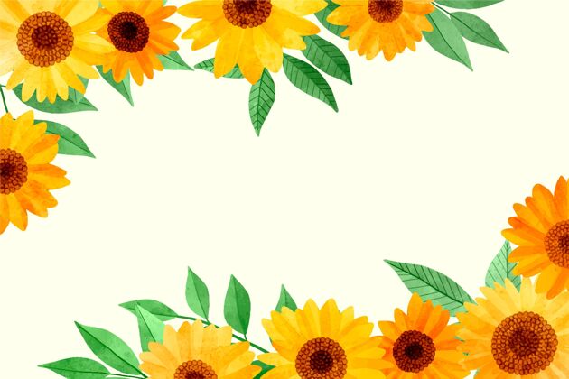 背景手绘水彩画向日葵边框壁纸边框花卉向日葵