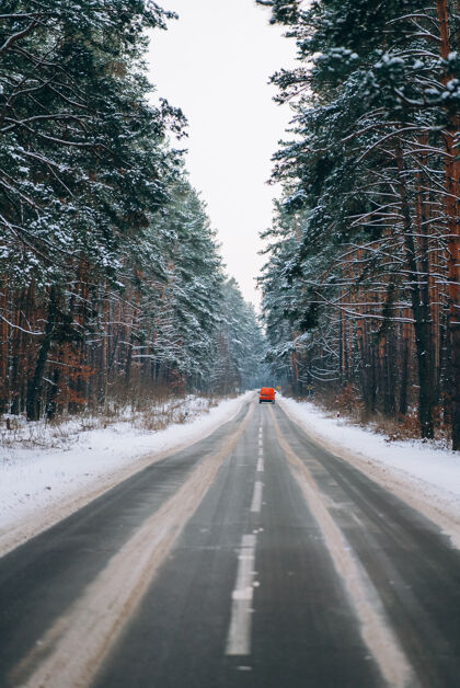 车辆在雪地里的森林路上开着车道路覆盖天气