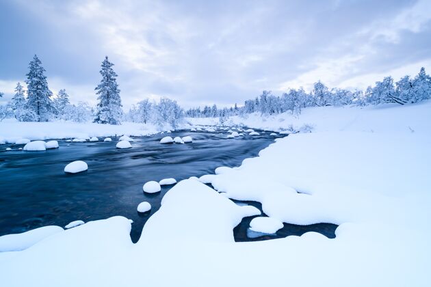 河流这条河上有雪 附近的森林冬天在瑞典被雪覆盖雪瑞典森林