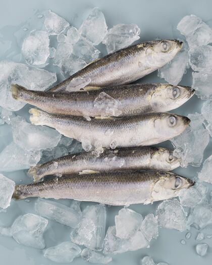 美味桌上放着冷冻鱼成分冷冻营养