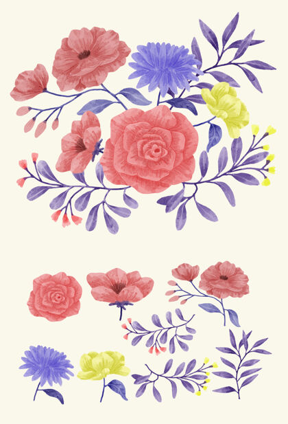 花卉水彩花套装安排绘画开花