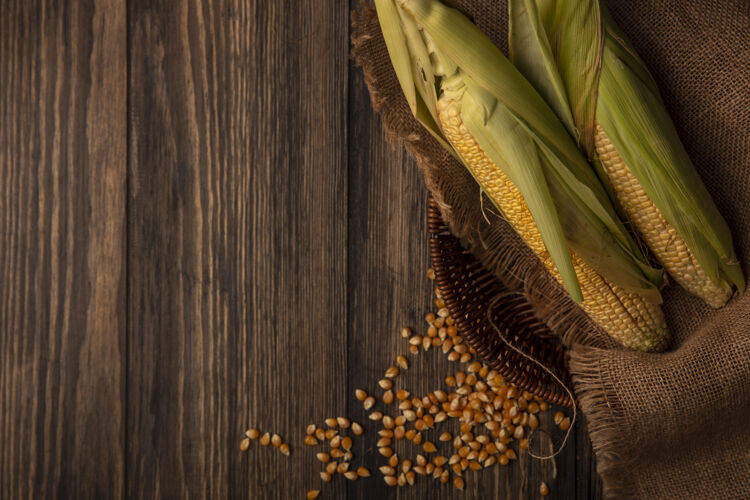 顶部有机新鲜玉米的俯视图 头发放在一个布袋桶上 玉米粒被隔离在一张有复印空间的木桌上木材玉米美味