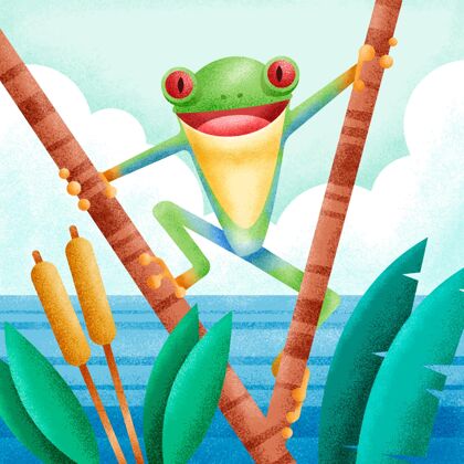 可爱绿色青蛙在其自然栖息地的插图动物野生绿色