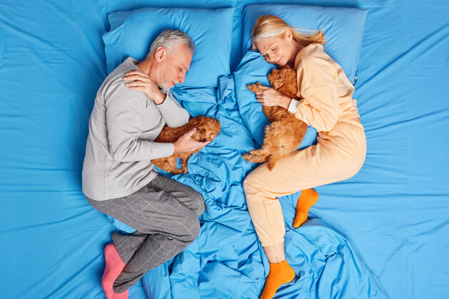 狗家庭时间睡眠和休息的概念老年夫妇一起休息与小血统小狗在床上穿着睡衣享受和平的气氛有健康的良好睡眠高角度的看法爱夫妻卧室