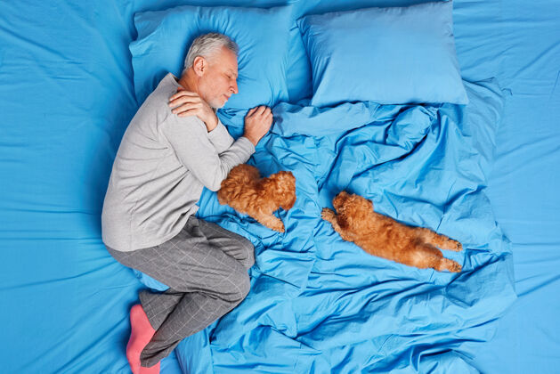 冷静晚安概念平和的胡须白发男人和两个小狗睡在床上放松辛苦工作一天后享受家庭气氛穿着舒适的睡衣和袜子看到甜蜜的梦睡眠早晨年轻