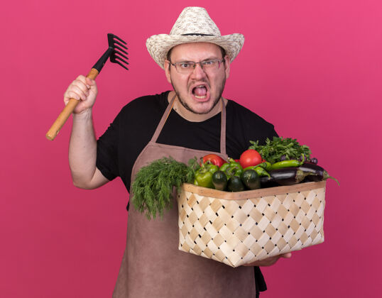 蔬菜愤怒的年轻男园丁戴着园艺帽拿着菜篮举起耙子孤立在粉红色的墙上持有年轻篮子