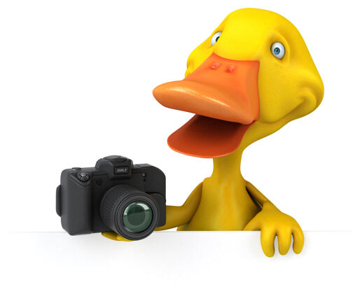 动物有趣的鸭子三维插图自然美丽相机