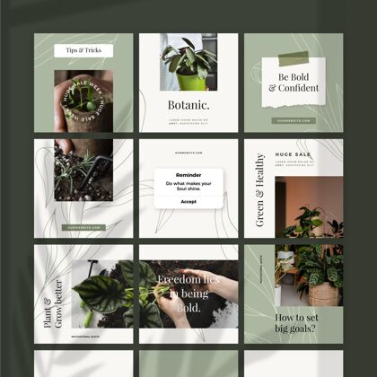 InstagramInstagram植物拼图源绿色帖子花卉