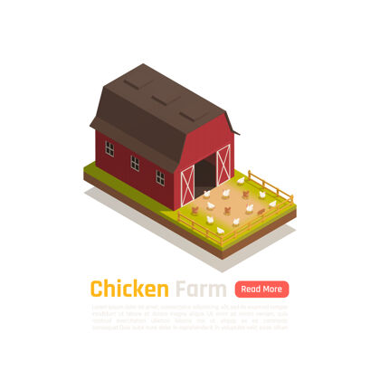 等距家禽饲养传统的谷仓系统农场插图生产养鸡场家禽
