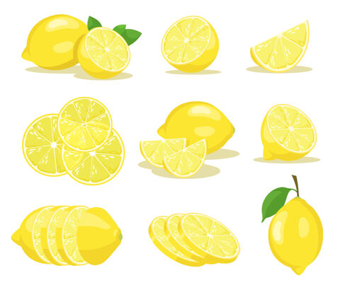 收集柠檬片插图集果皮柑橘热带