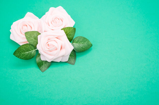 粉色粉红色玫瑰的特写镜头隔离在一个绿色的背景与复制空间自然花叶子