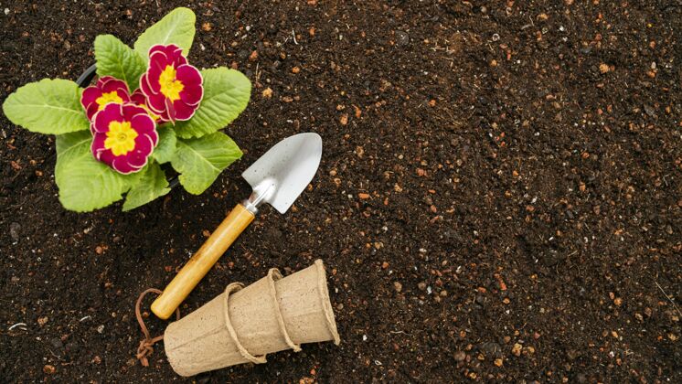 园艺顶视图园艺工具和花盆收获叶子植物学