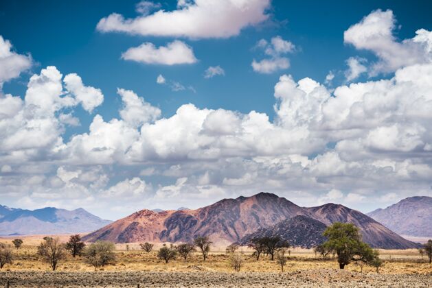 沙子在蓝天白云下的纳米比亚纳米布沙漠风景水平拍摄偏远沙丘树