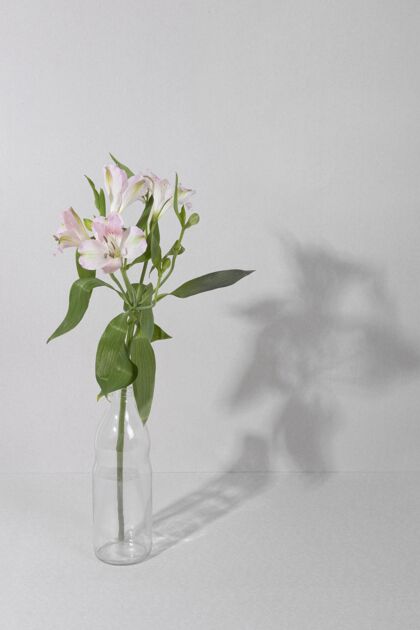 开花桌上花瓶里的花花瓶花花