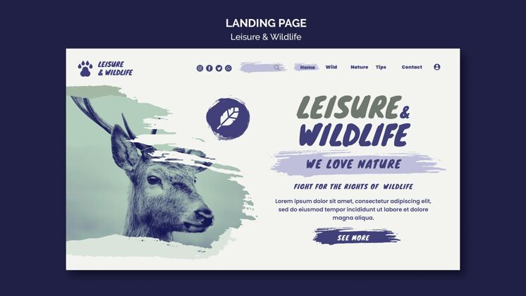 休闲休闲和野生动物登录页野生动物网页模板登陆页