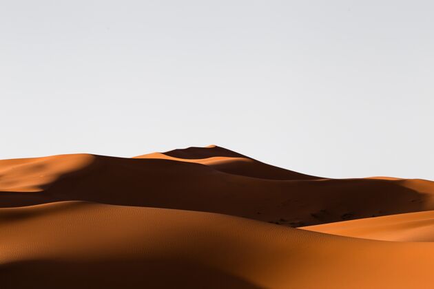 撒哈拉沙漠在一个阳光明媚的日子里 沙漠地区沙丘的美丽景色地质荒野炎热