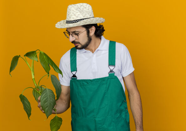 帽子无知的男园丁戴着园艺帽 戴着眼镜 拿着植物看佩戴花园空间