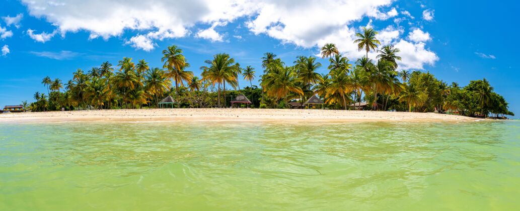 天空在一个阳光明媚的日子里拍摄到的大海和长满棕榈树的海岸的全景照片美丽水海岸