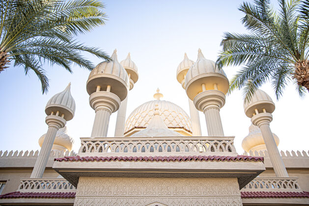 宗教阳光明媚的棕榈树中传统的伊斯兰清真寺外部神圣传统