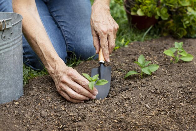 园艺近距离在土里种花家里的花园铲子园艺工具