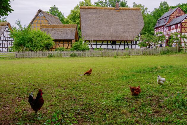 房子德国埃菲尔地区科默恩村露天博物馆草地上的鸡鸡农村天空博物馆
