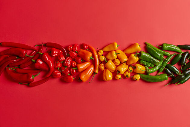 辣红 黄 绿 辣椒的单独镜头 在明亮的红色背景下排列成一排多种辛辣健康的蔬菜 用于制作美味的热菜或香料创意成分墨西哥烹饪调味料