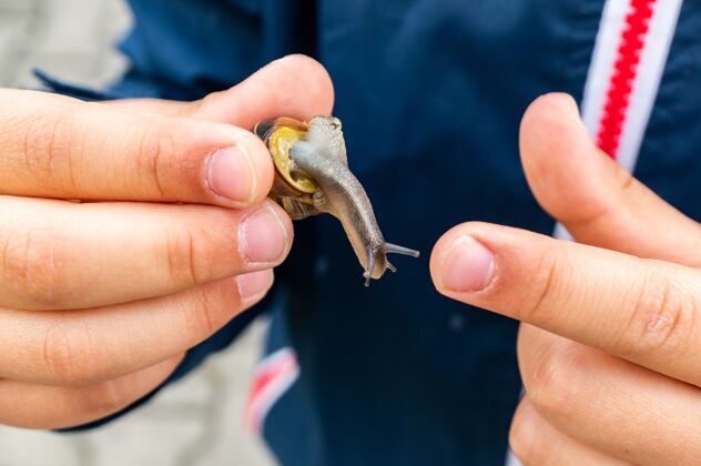 皮肤特写镜头一只蜗牛被一个穿着蓝色夹克的男人抱在手里蛞蝓爬行人类