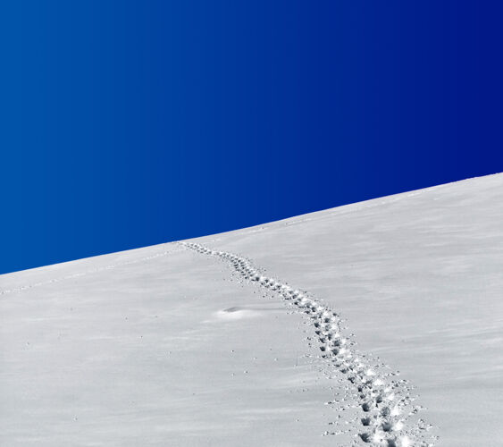 轨迹蓝天下雪原上的脚印最小山足迹