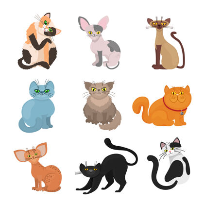 野生动物卡通家猫带尾巴和胡须的动物插图黑动物掠食者