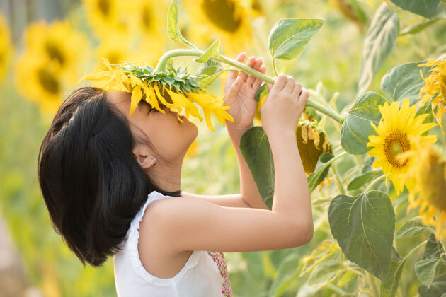 欢呼快乐的亚洲小女孩在阳光下 在盛开的向日葵中嬉戏孩子能量人