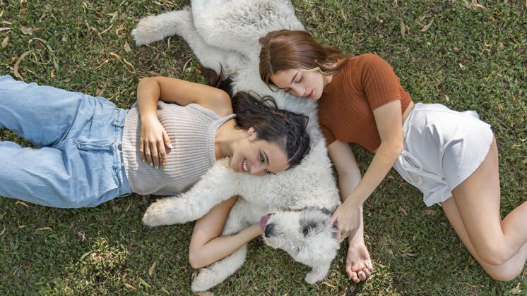 家养狗女人和狗坐在草地上顶视图宠物女朋友
