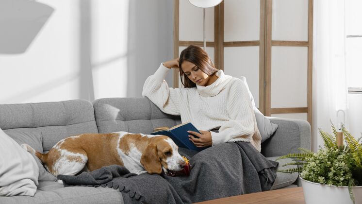 年轻全镜头女孩在沙发上看书在家里宠物小狗