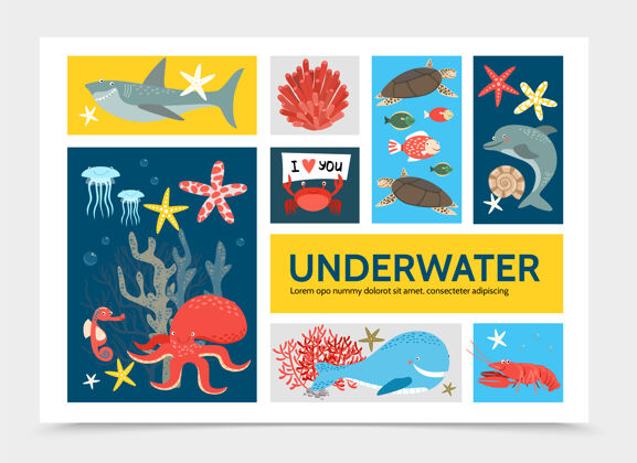 海洋平面水下世界信息图片概念与鱼鲨鱼海豚海龟章鱼蟹龙虾鲸鱼海马海马野生龙虾