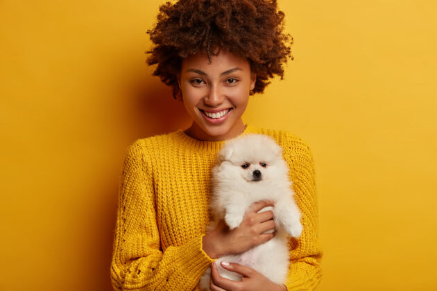 蓬松快乐的宠物主人带着小狗去看兽医后心情很好 发现她的斯皮茨犬很健康 穿着黄色针织毛衣美容信仰积极