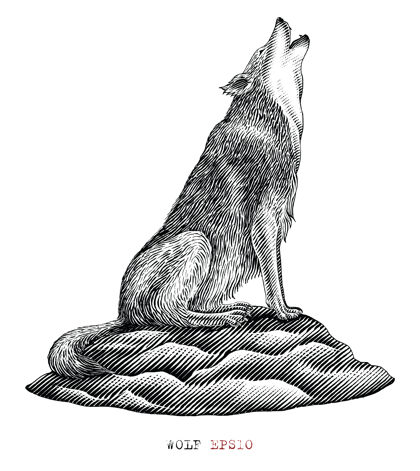 野生黑白狼嚎版画风格写实食肉动物雕刻