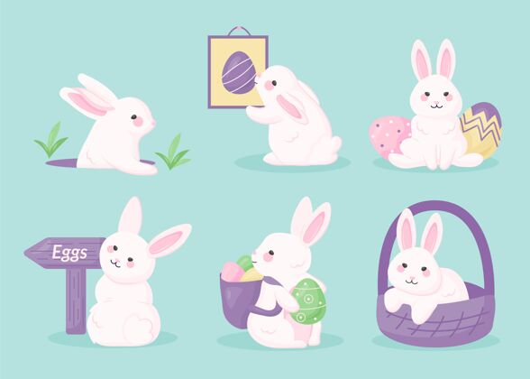单位复活节兔子系列收集分类兔子