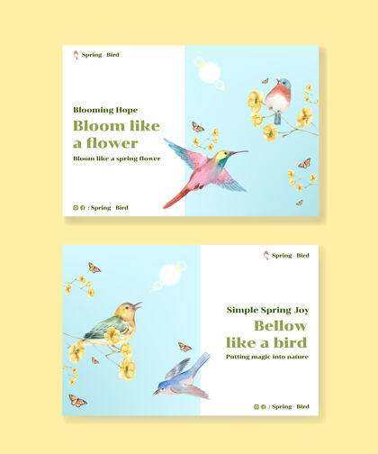 开花为社会媒体和社区水彩插画与春天和鸟的概念设计模板社交媒体营销树叶