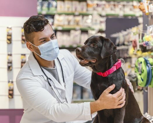 朋友宠物店的兽医正在检查狗动物销售商品