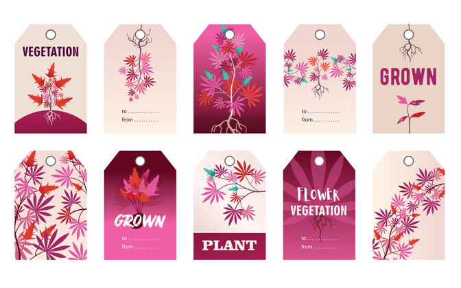 根促销粉红色标签设计与植物卡通插图几何背景横幅