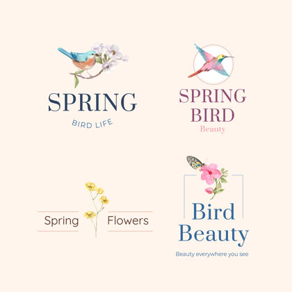 植物标志设计与鸟类和春天的概念品牌春天美丽