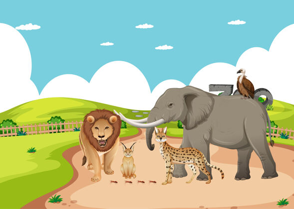 动物园动物园里一群非洲野生动物的场景非洲生活植物