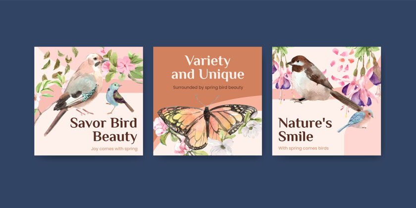 森林广告模板集鸟类和春天的概念营销季节美丽